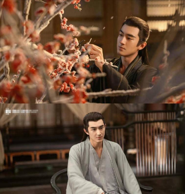 是内娱真人, tenan